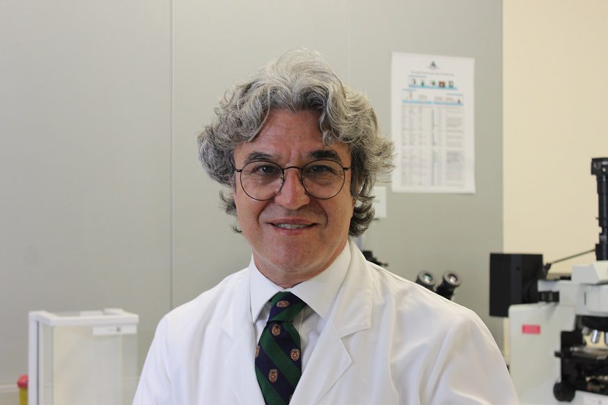 Prof. Dr. Erkut Attar